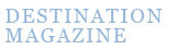 DM logo